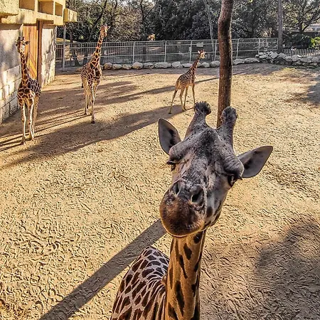 Cozy In With Wifi La Rochelle (Charente-Maritime)